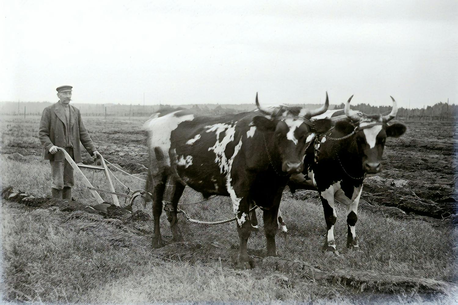 Gamla uttryck. Gamla uttryck.